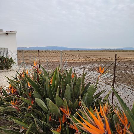 Caseta del Chato Deltebre Exterior foto