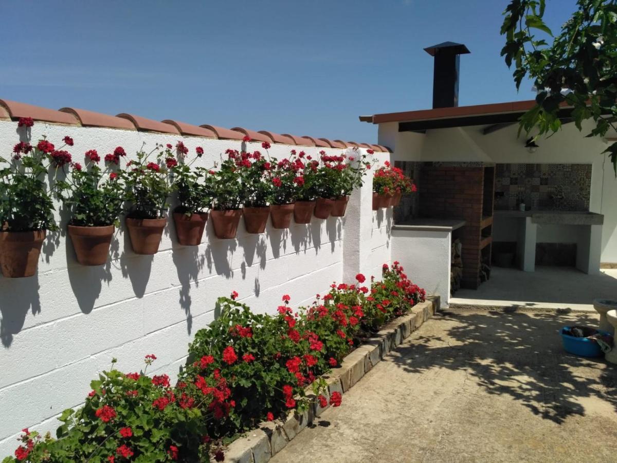 Caseta del Chato Deltebre Exterior foto
