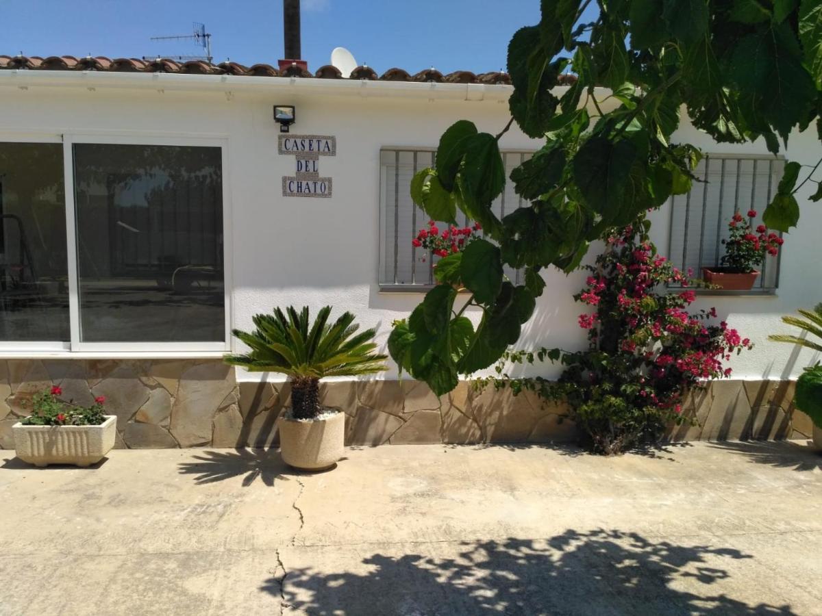 Caseta del Chato Deltebre Exterior foto